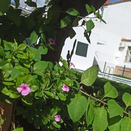 Willa Casa Turquesa Valencina de la Concepción Zewnętrze zdjęcie