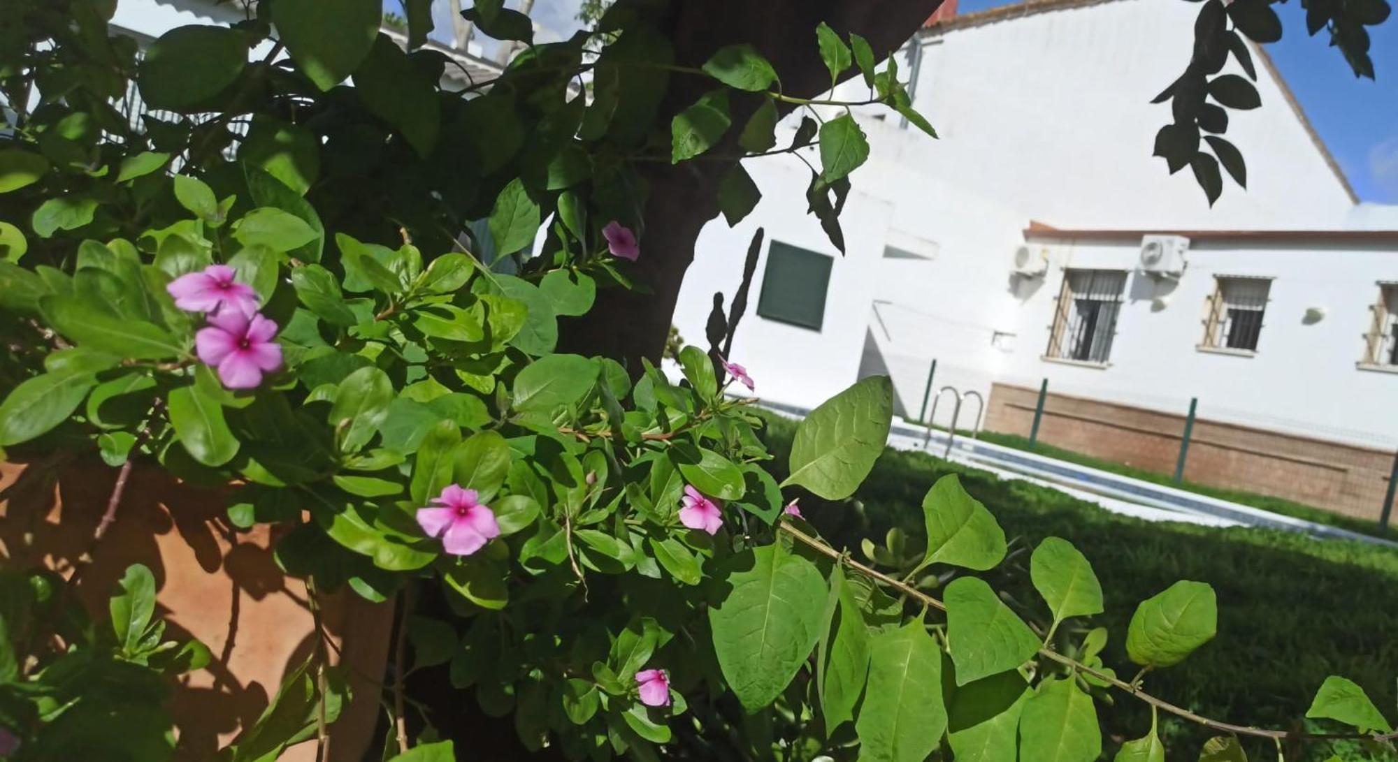 Willa Casa Turquesa Valencina de la Concepción Zewnętrze zdjęcie