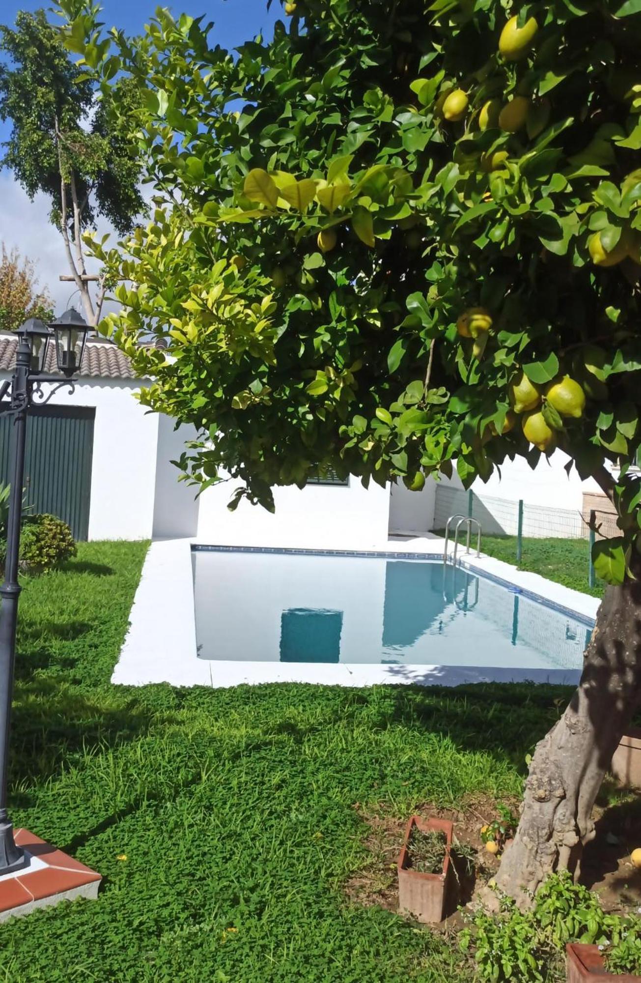 Willa Casa Turquesa Valencina de la Concepción Zewnętrze zdjęcie